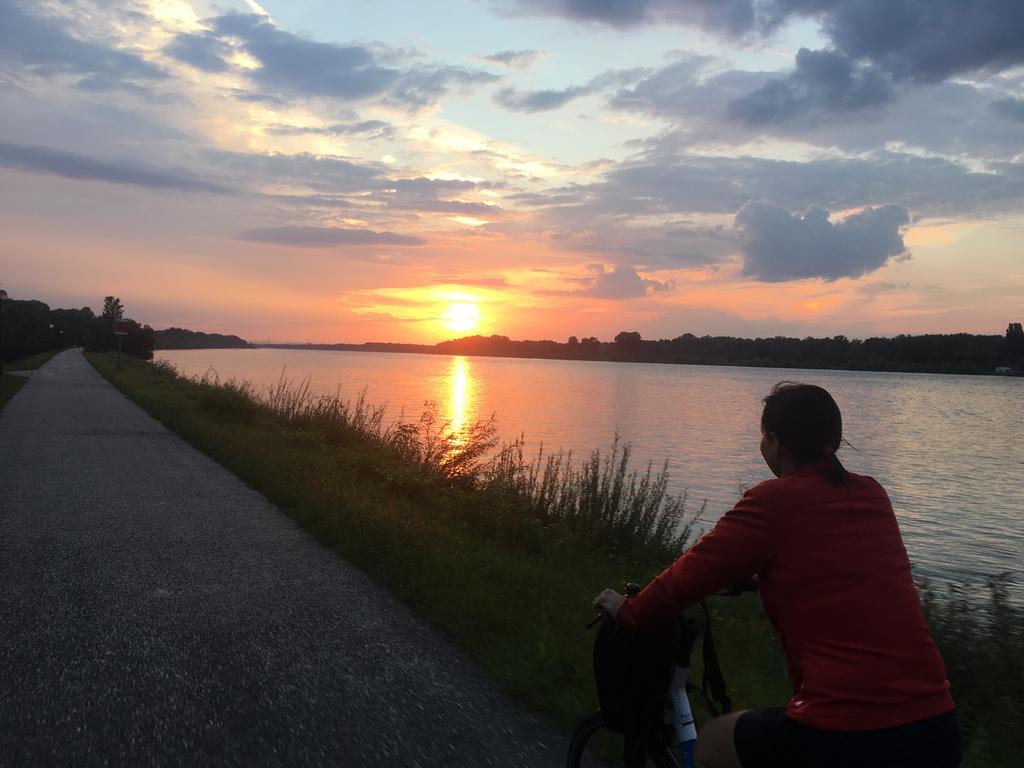 Donaupark Camping Tulln Tulln An Der Donau Exterior foto